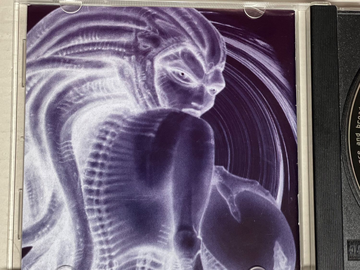 CDs: Accelerator-The Prophecy RAR – Gebraucht aus Muri b. Bern von AdidasCollector 2