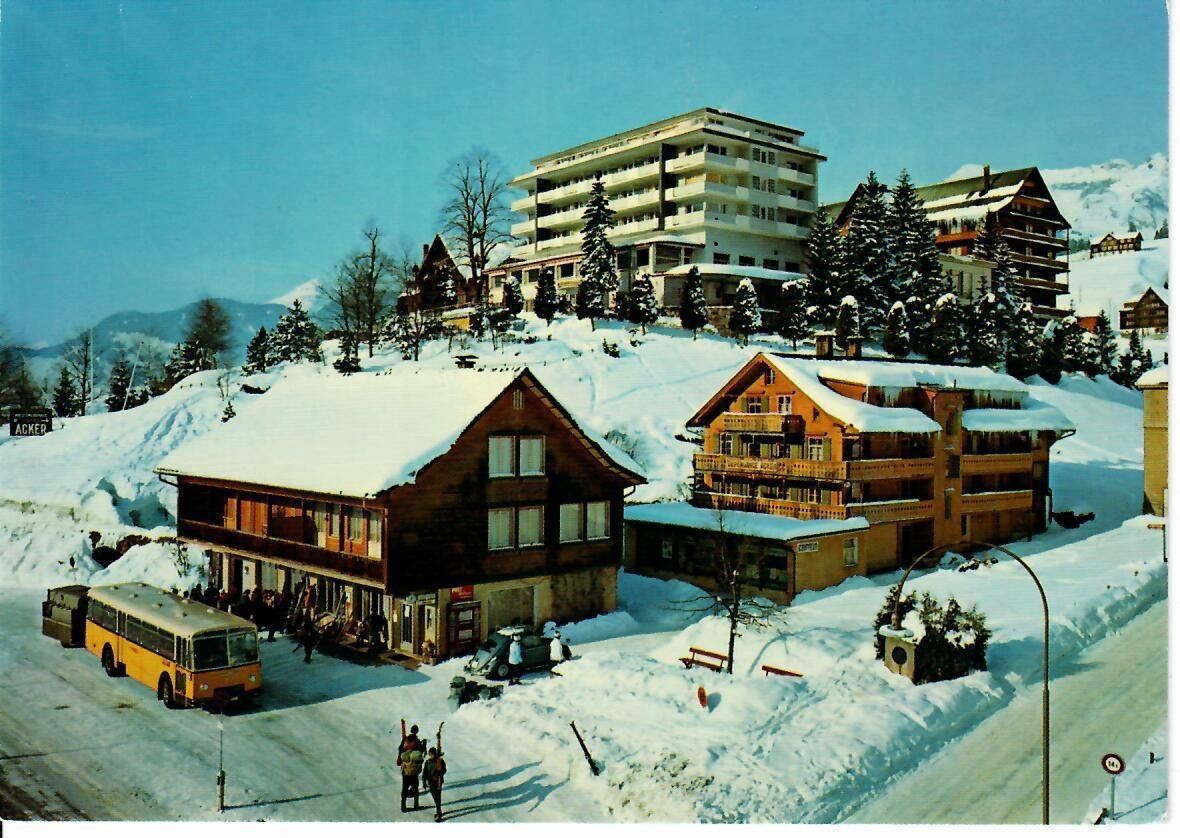 Ansichtskarten: Wildhaus Lisighaus – Gebraucht aus Hochdorf von Ziegel-16