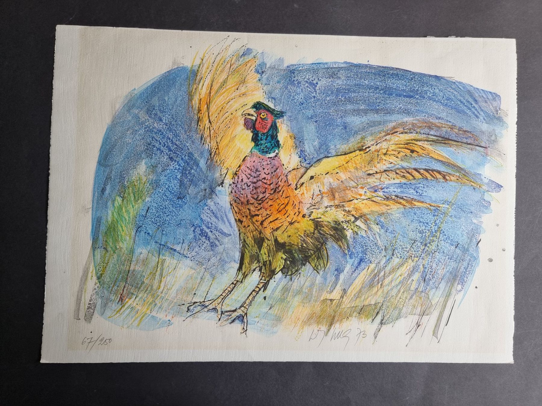 Grafica & Litografie: FRITZ HUG LITHOGRAPHIE SIGNIERT NUMMERIERT – Usato da Gersau venduto da grafik-kunst 1
