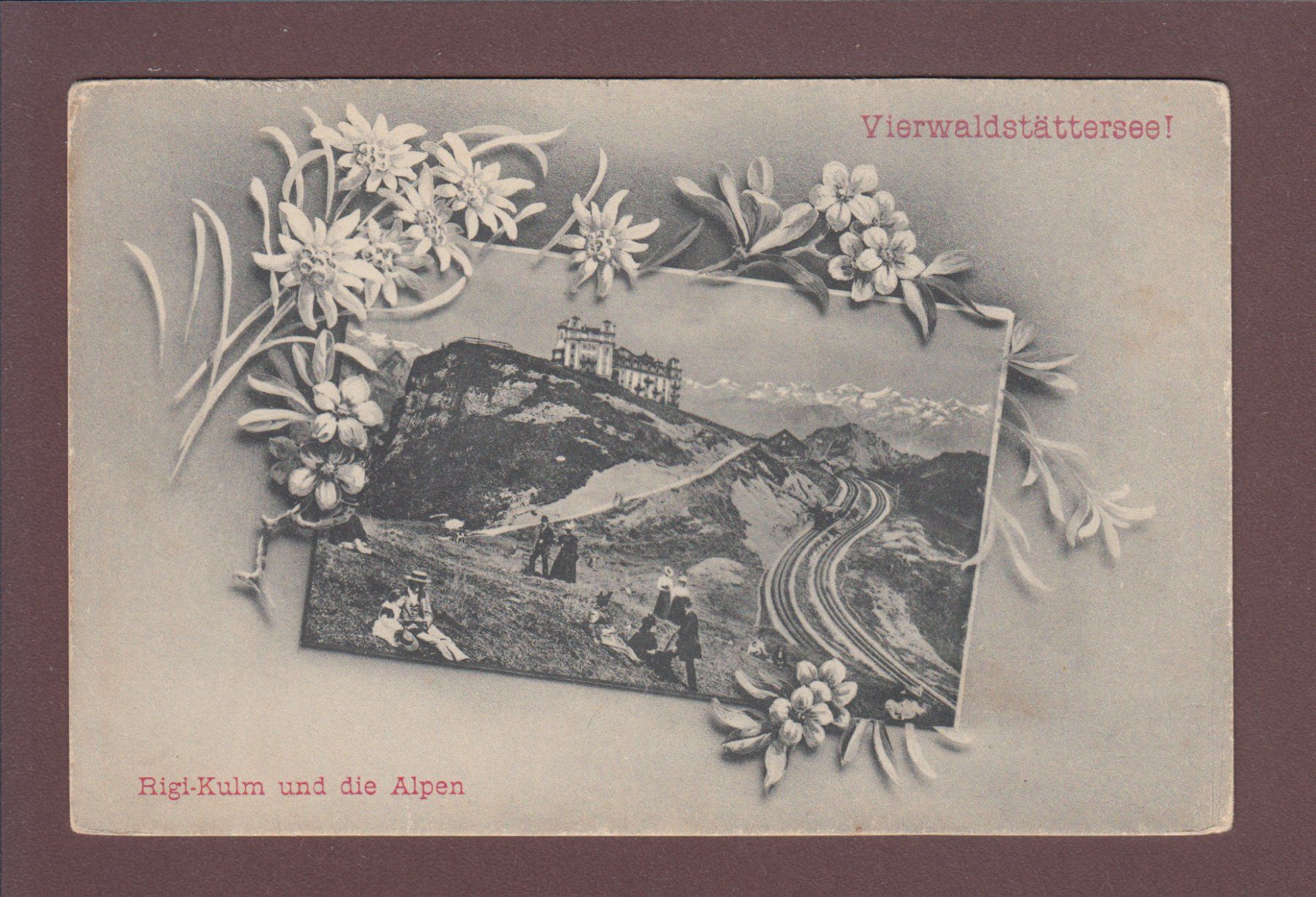 Cartoline postali: RIGI-KULM - Leute - Edelweiss – Usato da Pully venduto da nicecards