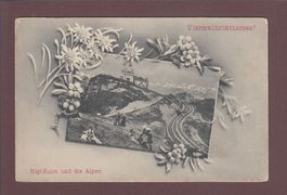 RIGI-KULM - Leute - Edelweiss