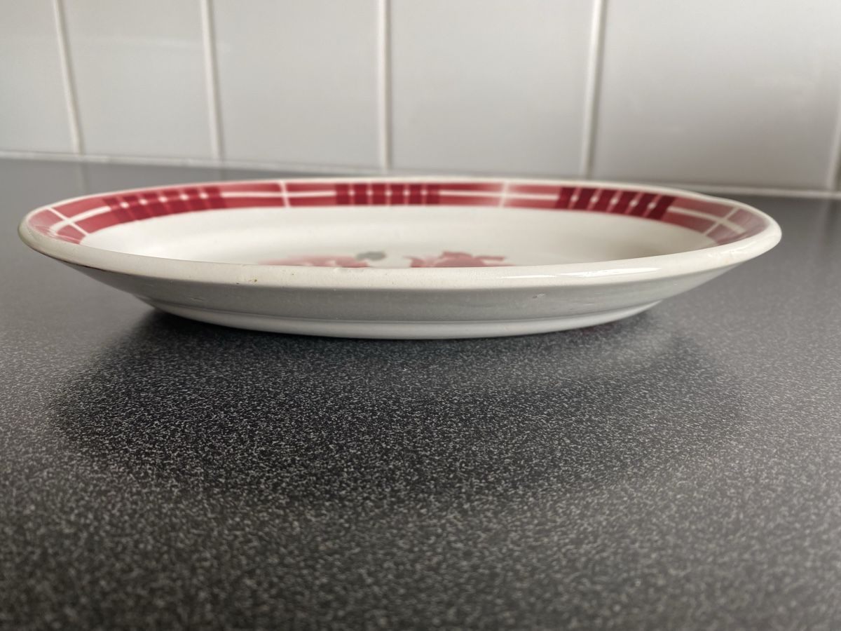 Piatti di portata: Ancien plat Sarreguemines – Usato da Le Grand-Saconnex venduto da plicci77 1
