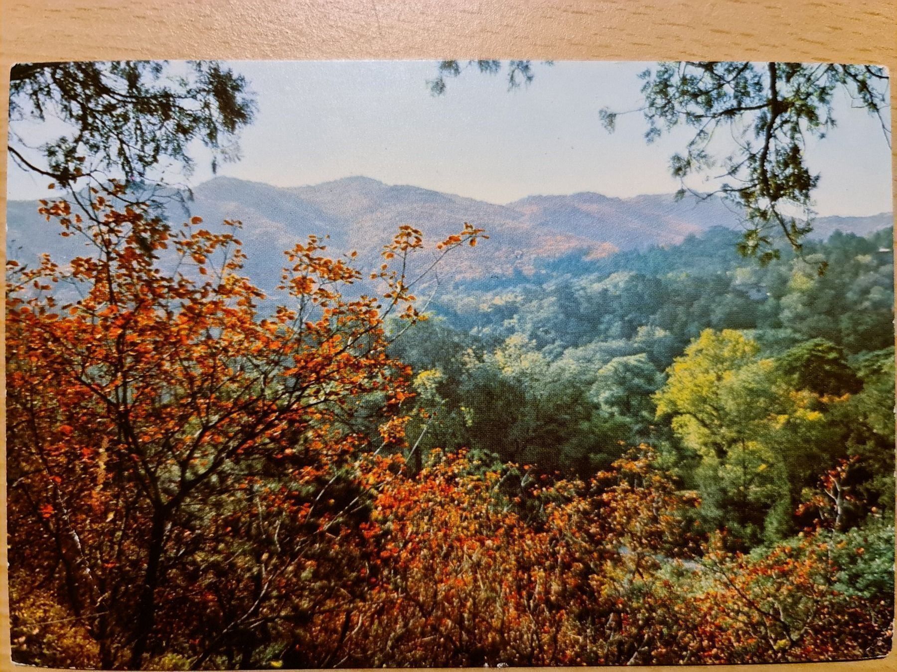 Cartoline postali: Ansichtskarte Landschaft China – Nuovo (secondo la descrizione) da Dintikon venduto da Vexi