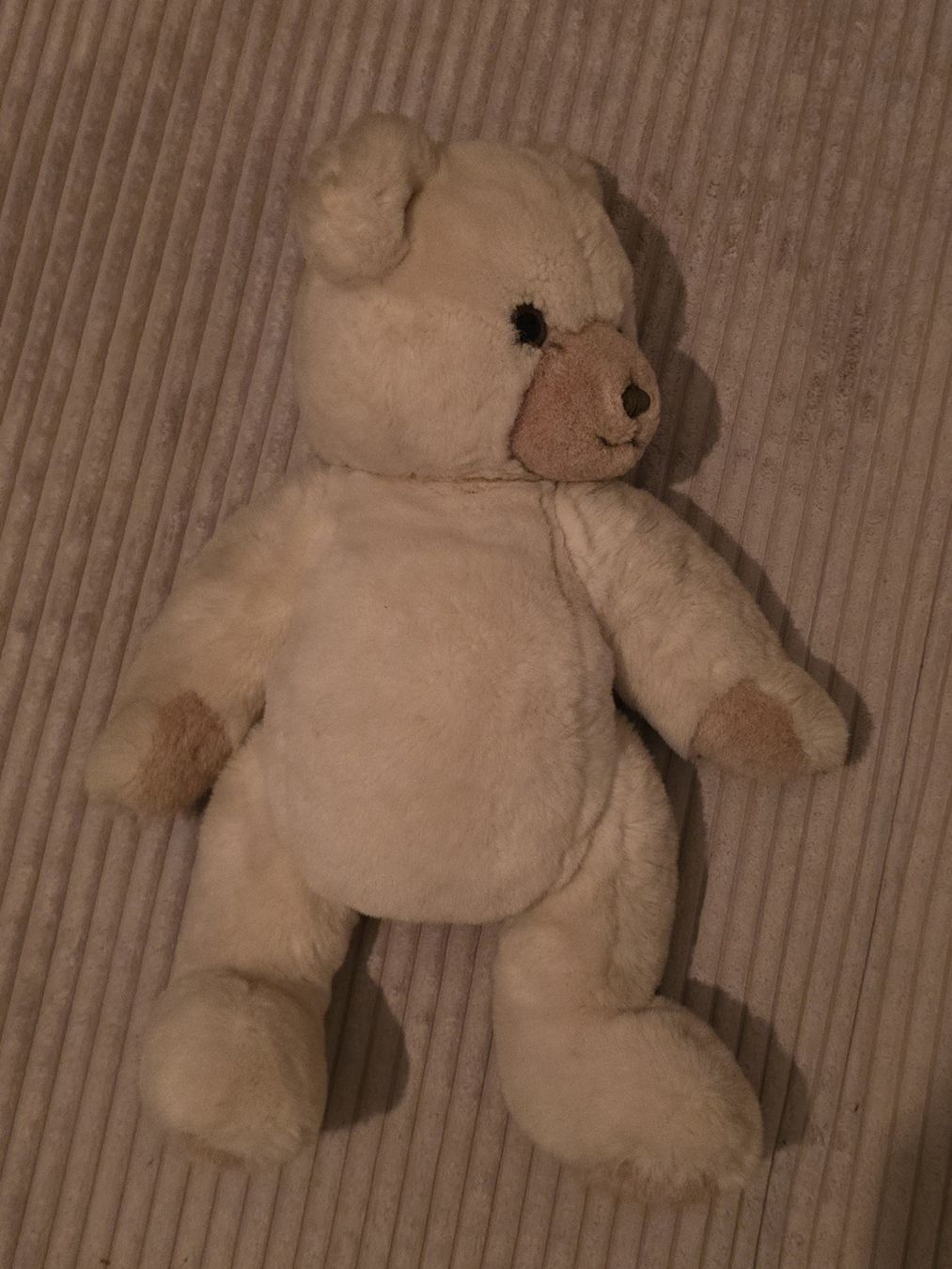 Steiff Giocattoli: Steiff Teddybär beige guter Zustand – Nuovo (secondo la descrizione) da Würenlos venduto da Lea.Maria.Hotz 3