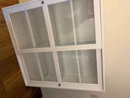 Ikea Vitrine (Ohne Sockel) 121x35x122cm