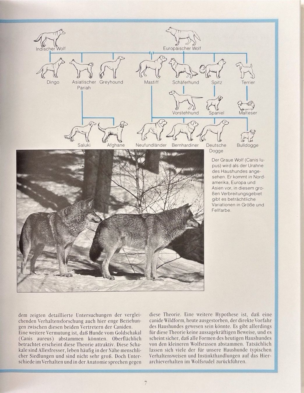Libri: Hundehaltung – Nuovo e nell'imballaggio originale da Sarnen venduto da Livres 7