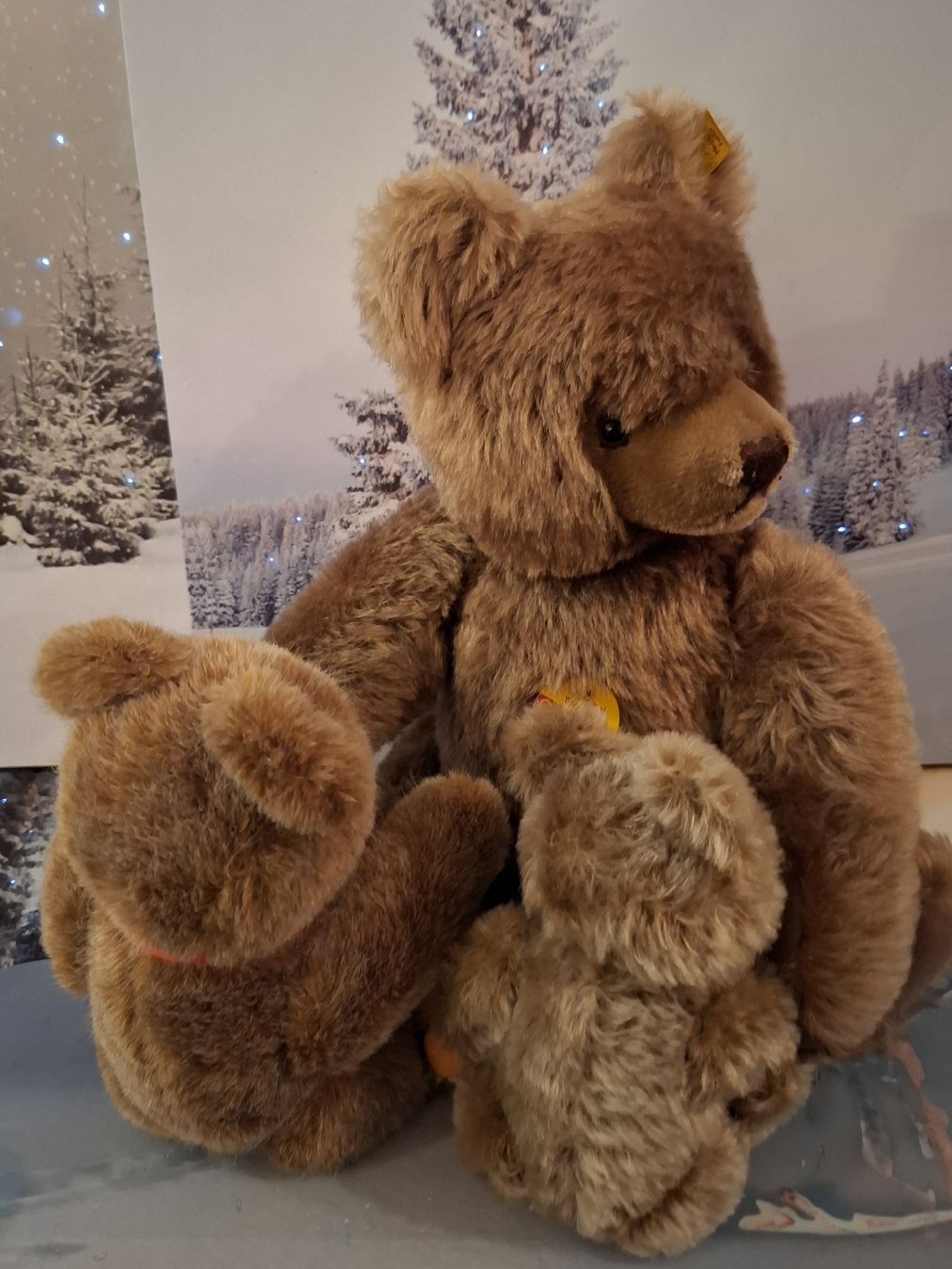 Steiff Spielzeuge: MAMA STEIFF MIT ADOPTIV BABYS TEDDY HERMANN – Neu (gemäss Beschreibung) aus Gretzenbach von schibaya 5