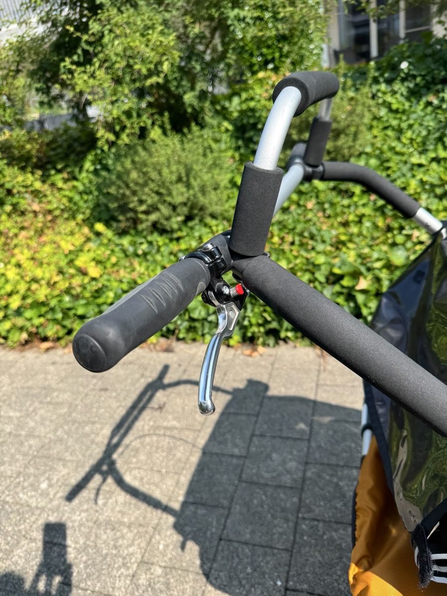 Anhänger: Fahrradanhänger Chariot cx2 – Gebraucht aus Landschlacht von eva_lzh9 8