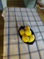nappe  carreaux bleu   jaune   fond blanc 