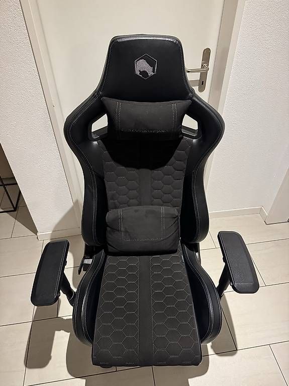 : Joule Performance Gaming Stuhl – Usato da Rümlang venduto da downhill09