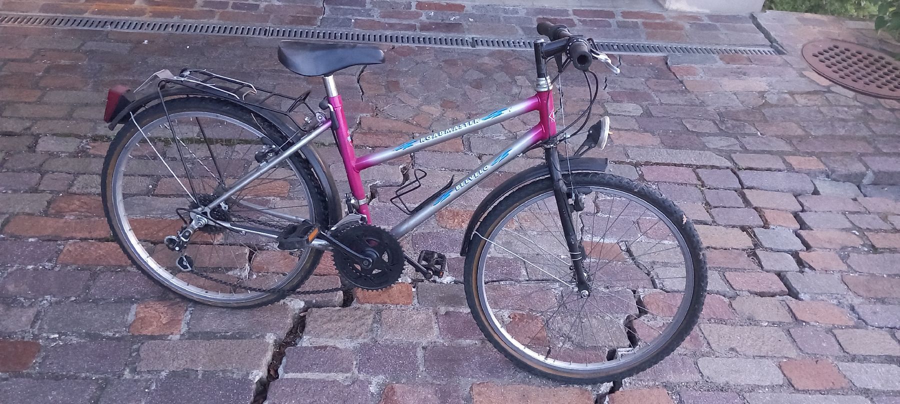 Swiss Pezzi di ricambio: Altes Velo - Ersatzteile – Difettoso da Häfelfingen venduto da iti_95tx 3