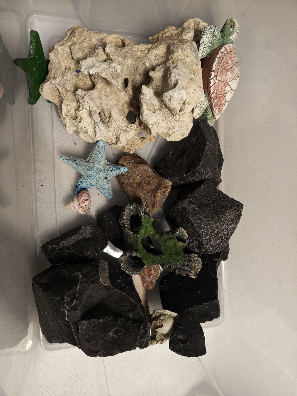 Alle Dekorationen: Aquarium Deko – Gebraucht aus Merenschwand von jessi1992 1