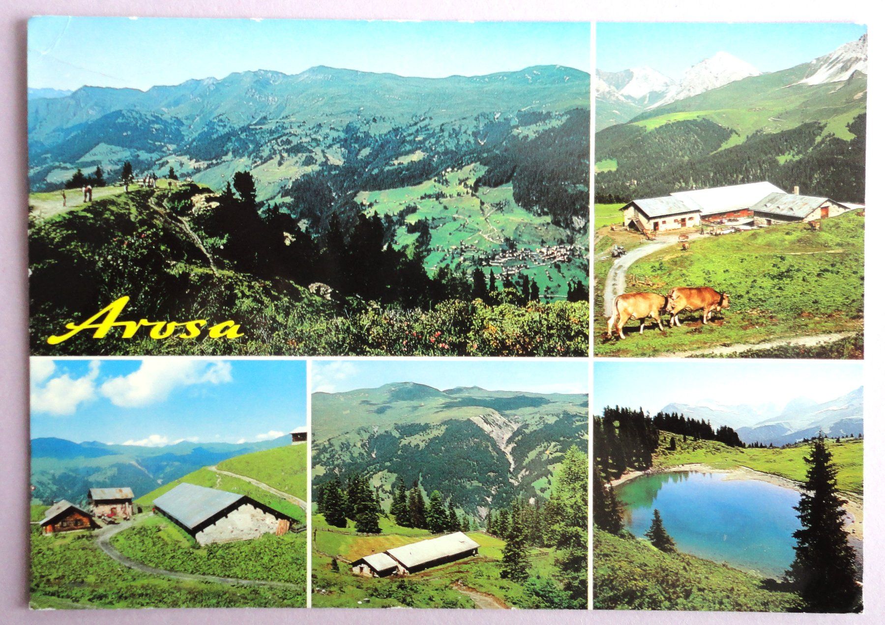 Ansichtskarten: Arosa - Rot-Tritt 2000 m – Gebraucht aus Fétigny von Billy2miny