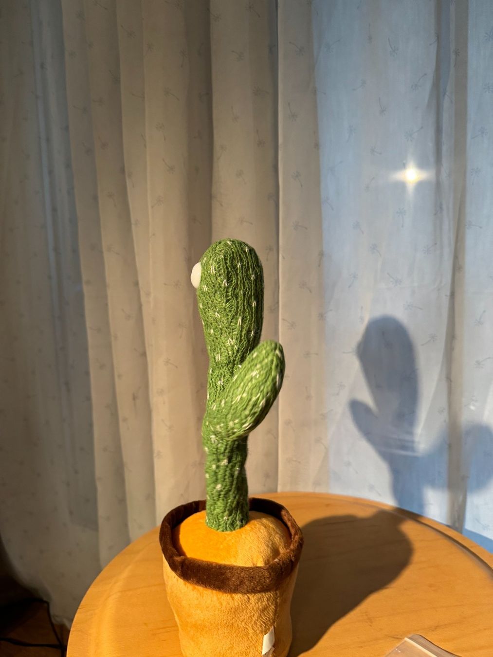 Sprechende/Singende Kaktus Figur (Gebraucht) in Rapperswil SG fr CHF 15   mit Lieferung auf Ricardo kaufen