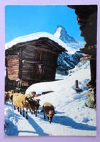 Winkelmatten bei Zermatt - Matterhorn 4478 m