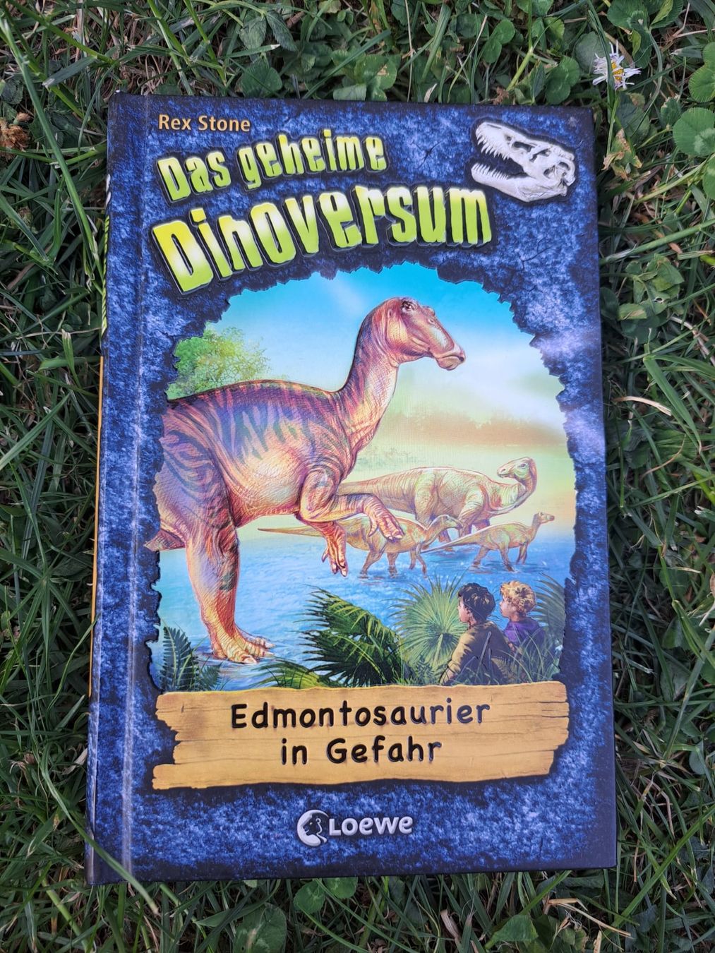 Livres: das geheime Dinoversum – D'occasion à Dachsen par Mickymausi