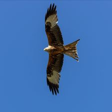 Profile image of yrma14