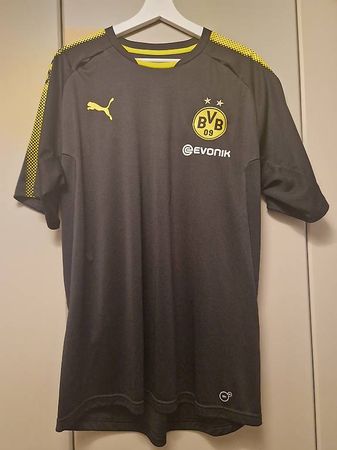 BVB Trainingsdress | Gr. XL