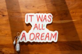 LED Neon Schild „IT WAS ALL A DREAM“ rot – 37 × 30 cm