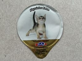 A-81 A - Katzen, Gastro