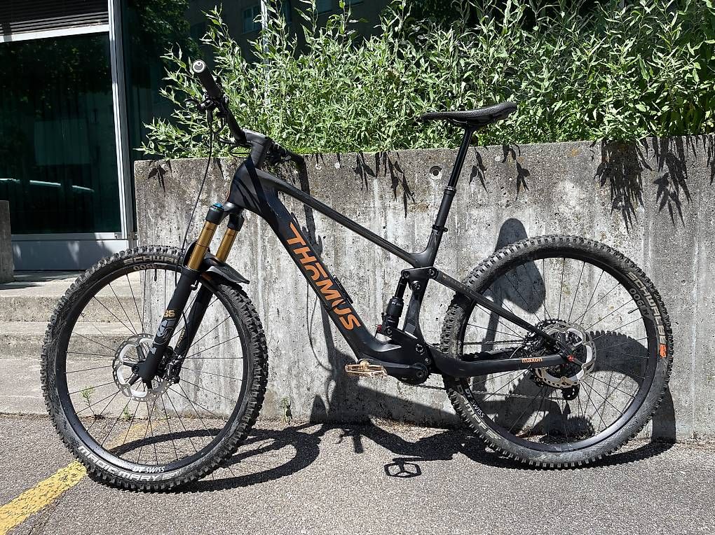 Thömus Biciclette: Thömus Lightrider E Ultimate 350Wh+Range Extender, Gr. L – Usato da Bern venduto da RodneyBligh23 6