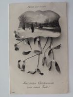 Mistelzweig, Kutsche, Zürich gegen Tonhalle, dat. 1910