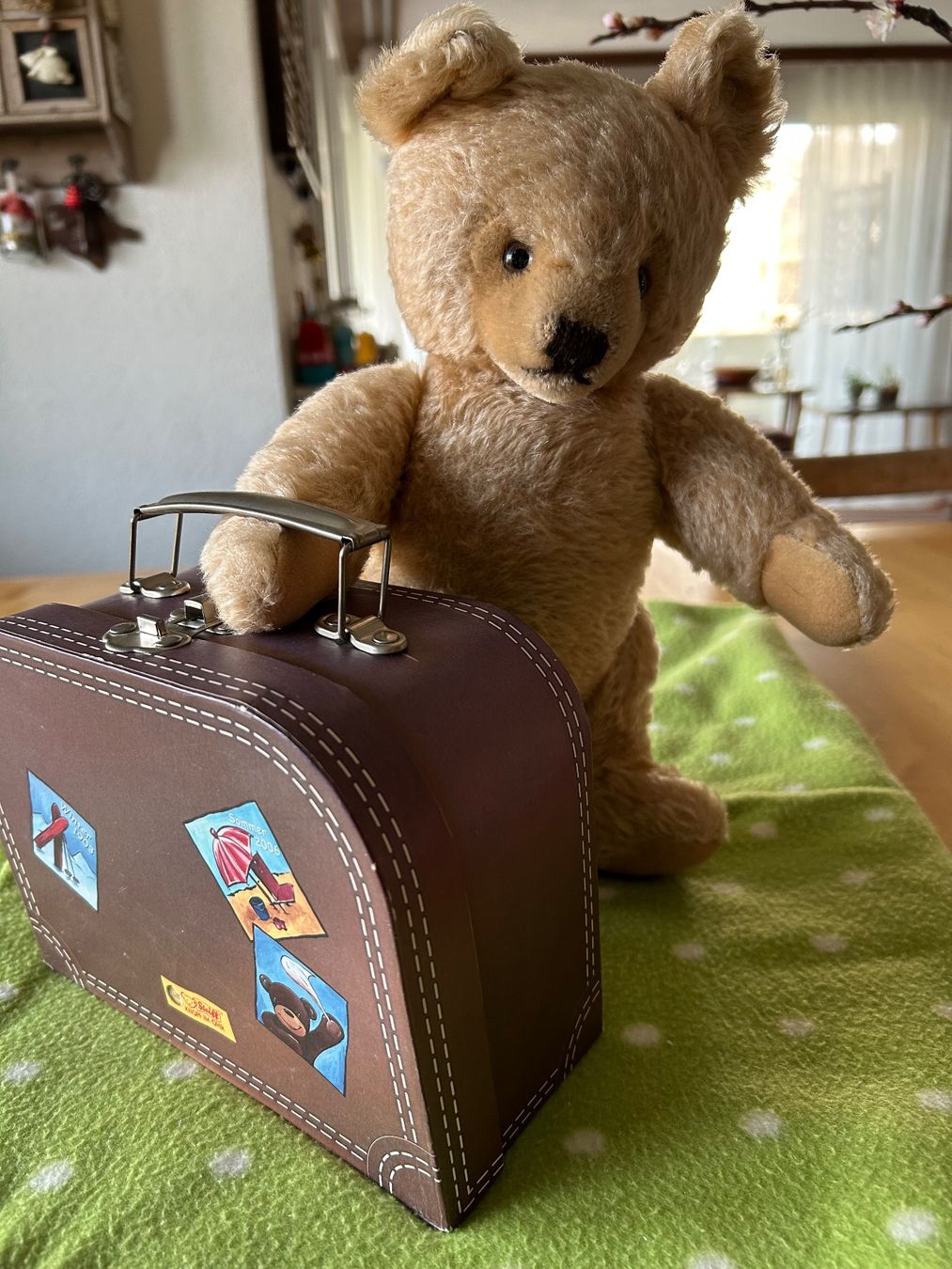 Steiff Giocattoli: Steiff Teddy mit Koffer – Usato da burgdorf venduto da baenzlicat