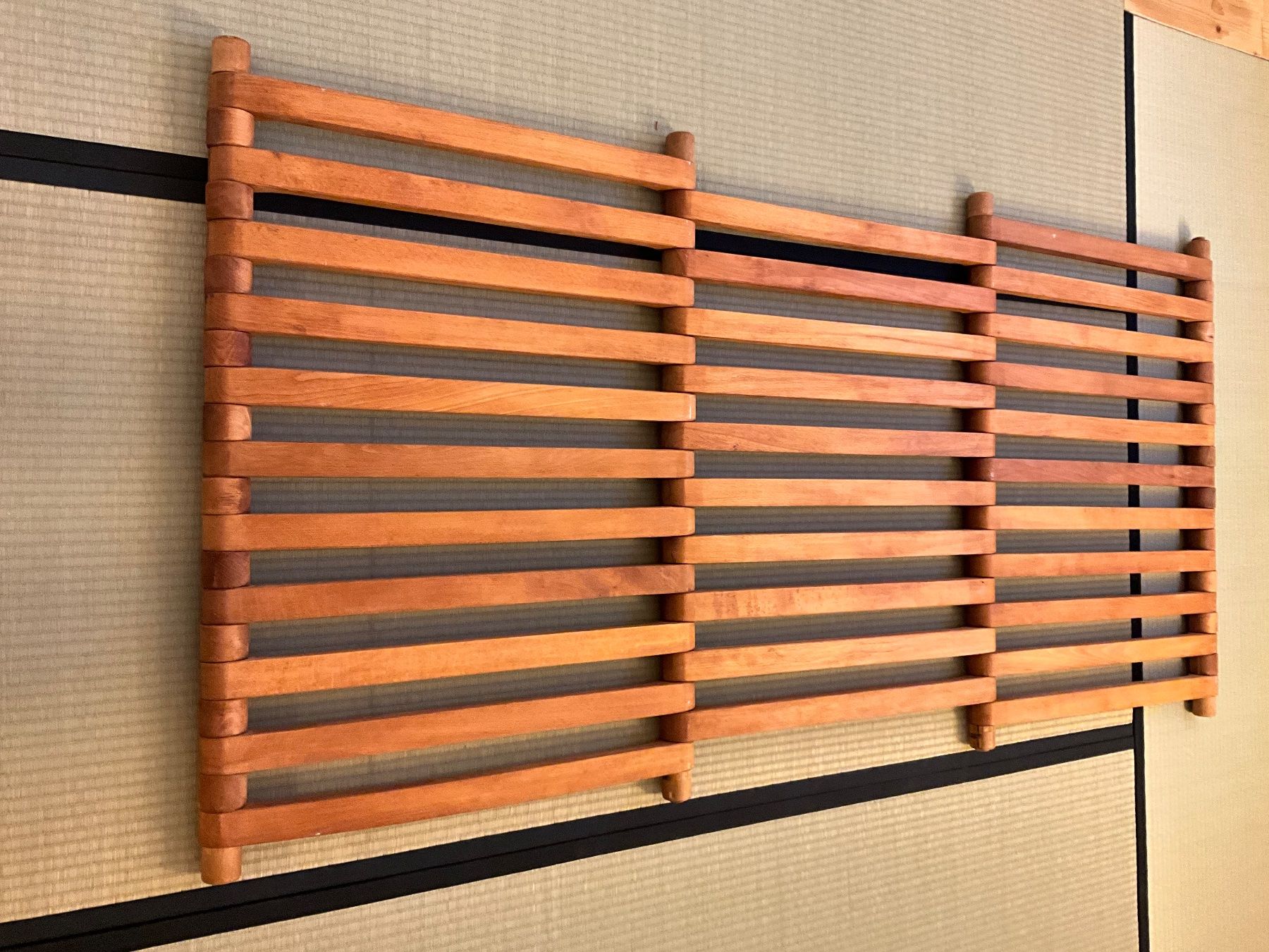 Poltrone: Sato Lounge Sessel, transformierbar in einen Lattenrost/Bett – Usato da Basel venduto da Hen82