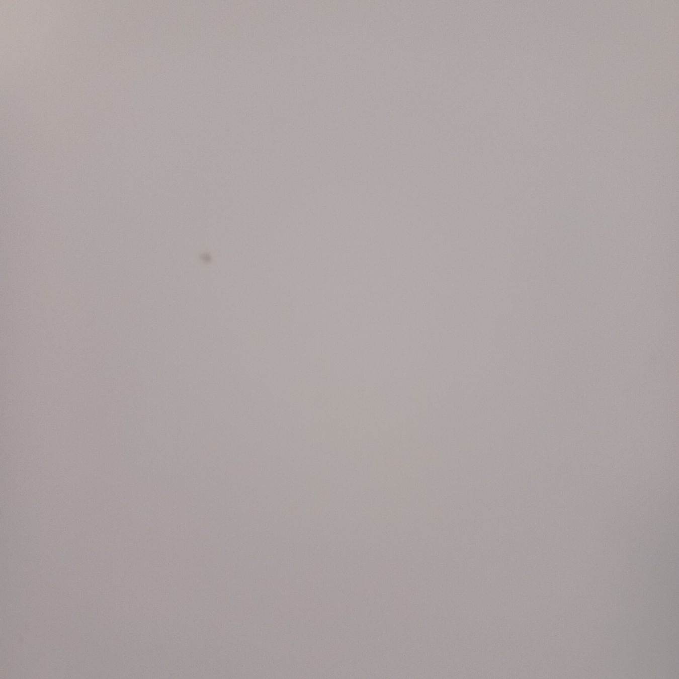 Ikea Piatti di portata: IKEA Tischplatte "Linnmon" 120x60 – Usato da Dietwil venduto da talulla 2