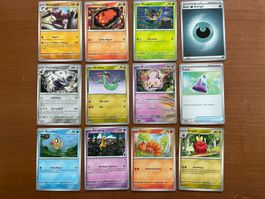 Pokemon 12er Karten Set (Versand gratis)