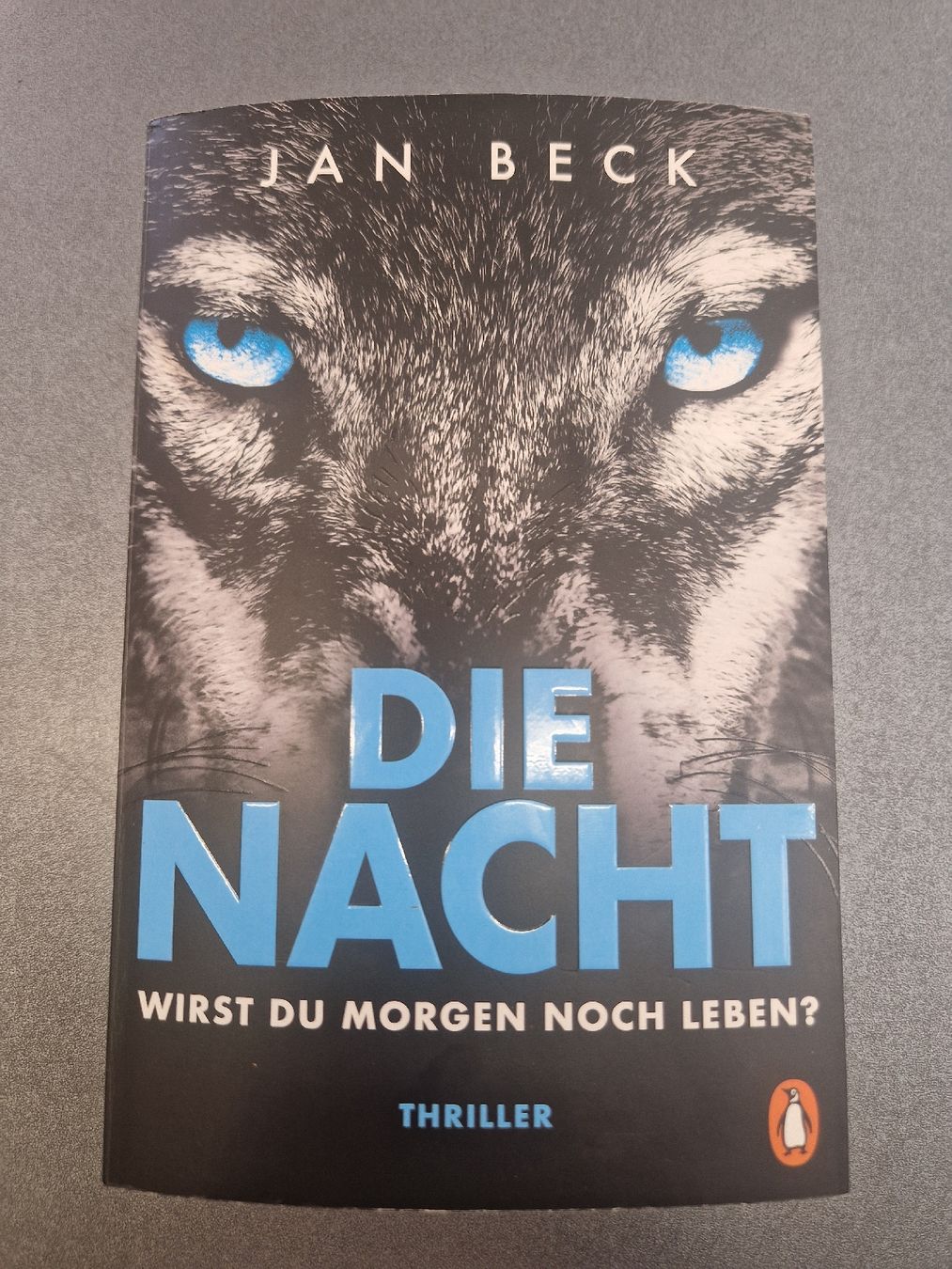 Livres: Die Nacht - Jan Beck Thriller  – D'occasion à Meilen par Hausimaasi