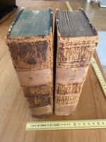 Antikes Buch Weltgeschichte 1827 (2 Bände)