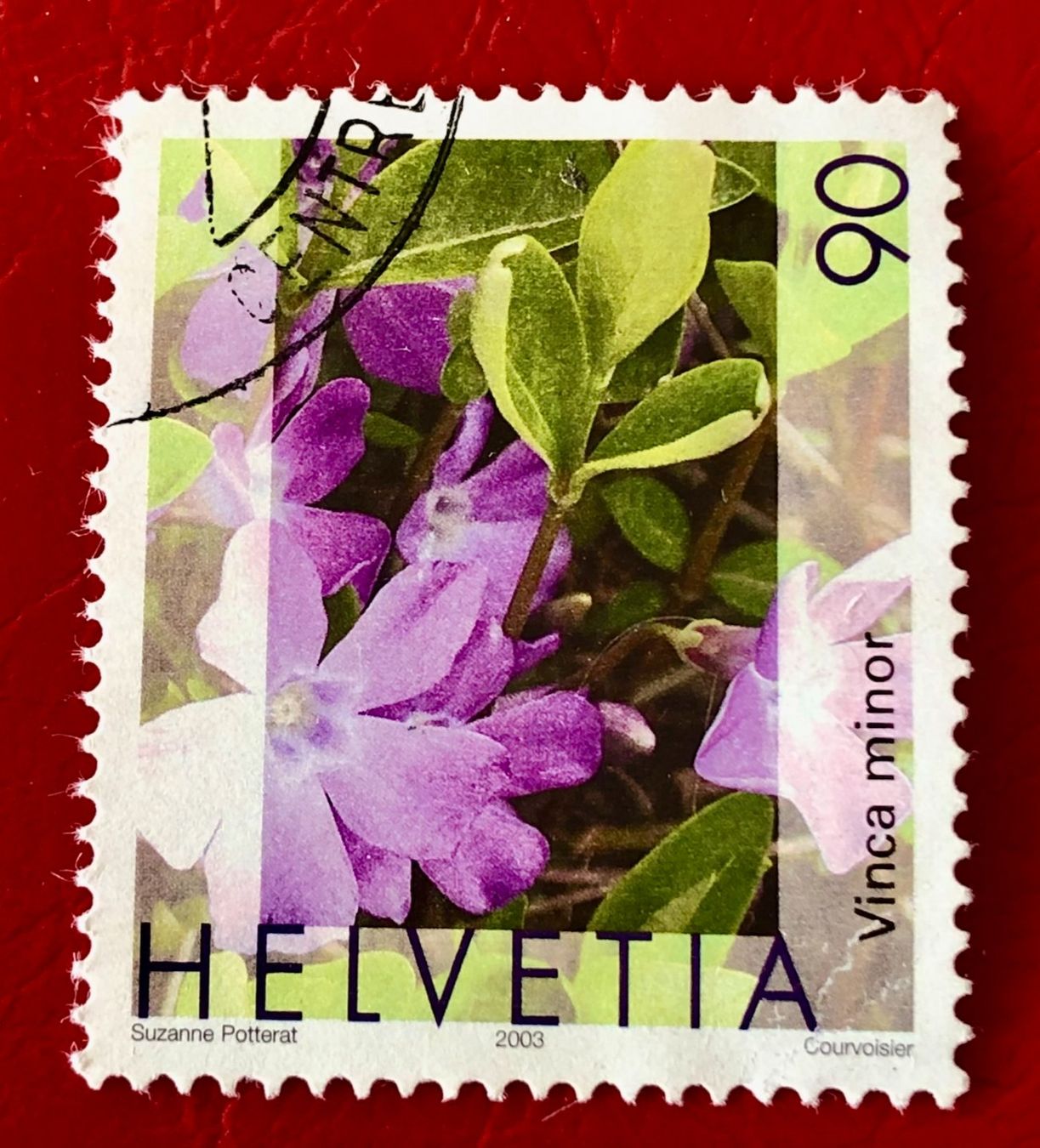 Tutti i francobolli: Nr.1074 Gemeines Flora,Immmergrün GESTEMPELT 2003     – Usato da Aarau venduto da Billa007