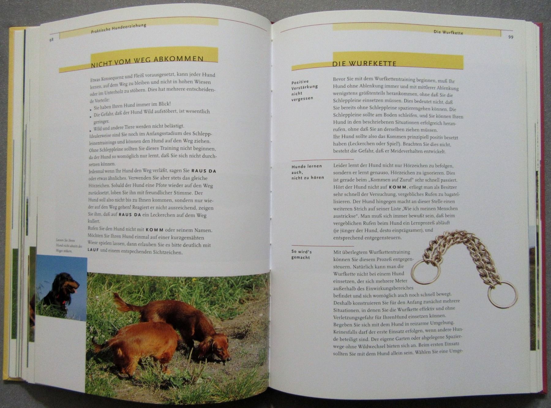 Libri: Das Kosmos Erziehungsprogramm für Hunde - sanfte Methoden – Usato da Auenstein venduto da Padabimbim 3