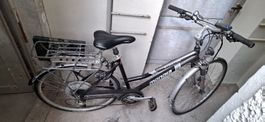 BionX Bike