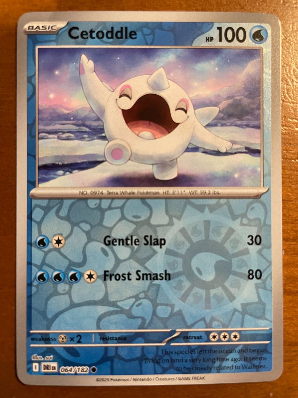 Pokémon Sammelbilder & Trading cards: Pokemon Cetoddle Reverse (Versand gratis) – Neu (gemäss Beschreibung) aus Chur von Angerson