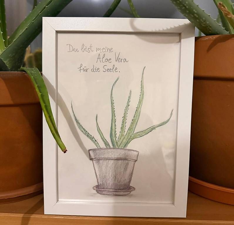 Dipinti: Handzeichnung Aloe Vera – Nuovo (secondo la descrizione) da Zürich venduto da and_sr7w