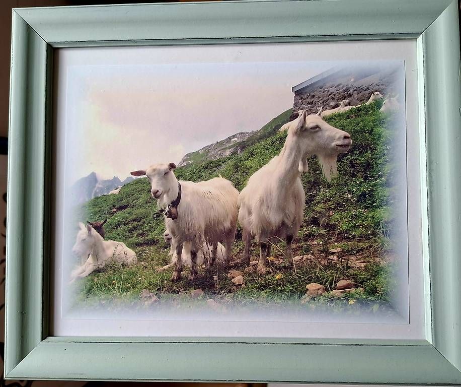 Foto & Immagini: Foto m.Rahmen 24x30 – Nuovo e nell'imballaggio originale da Benken SG venduto da samba12