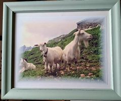 Foto m.Rahmen 24x30