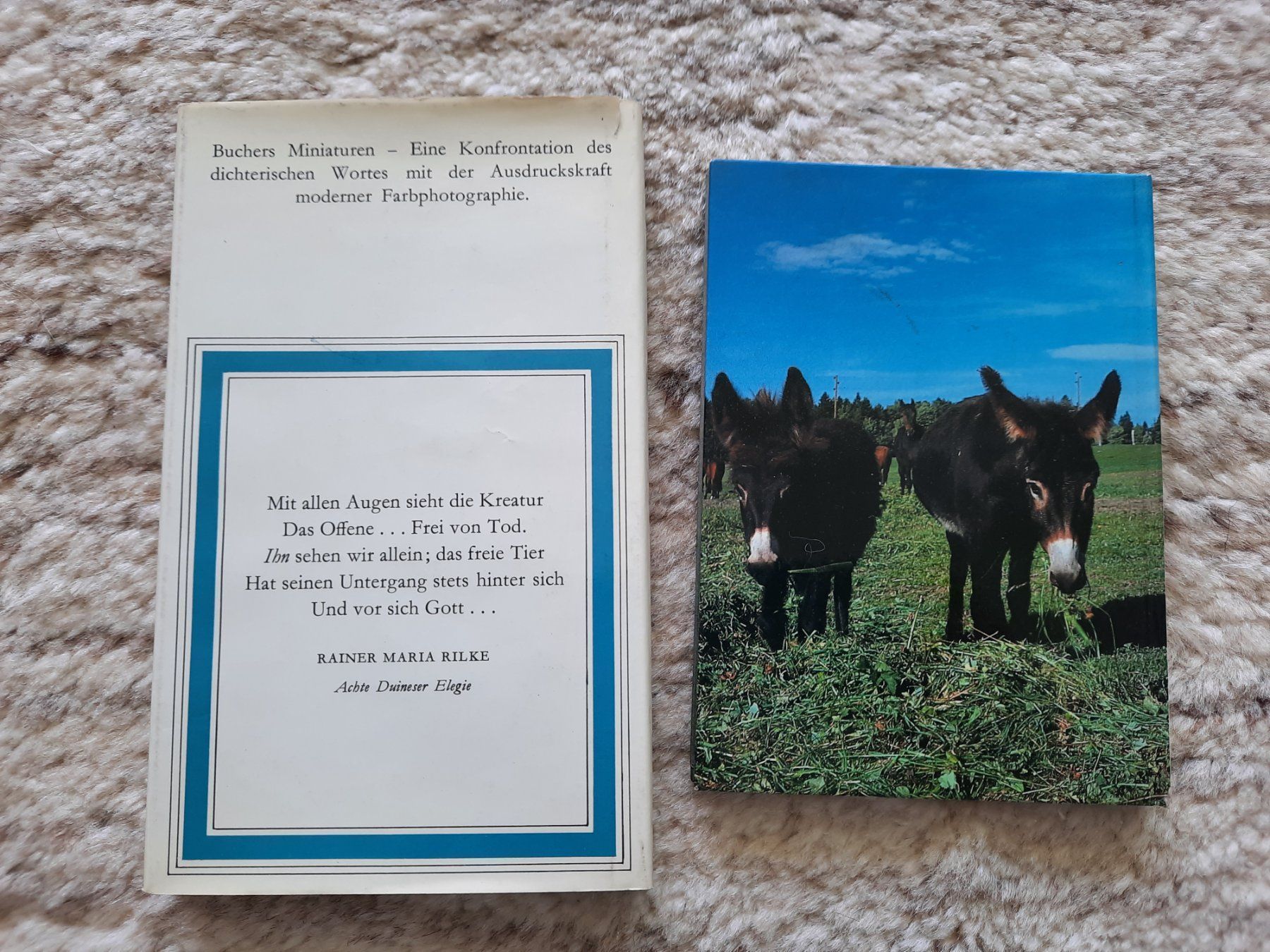 Bücher: Tiere: schöne Bilder und Texte; 2 Bücher – Gebraucht aus Niederteufen von Buecherwurm_70 1