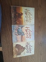 Golden Horses Buchreihe von Lauren Brooke 3 Stück