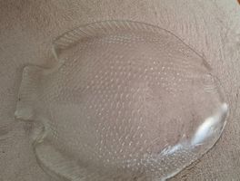 Plat en forme de poisson/Fischförmige Schale