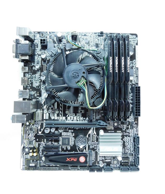 Asus Prime B 250 M-A (Gebraucht) in Emmenbrücke für CHF 95 – mit ...