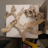 Aquarium Keramikgestein für Riffaufbau - 7 Teile
