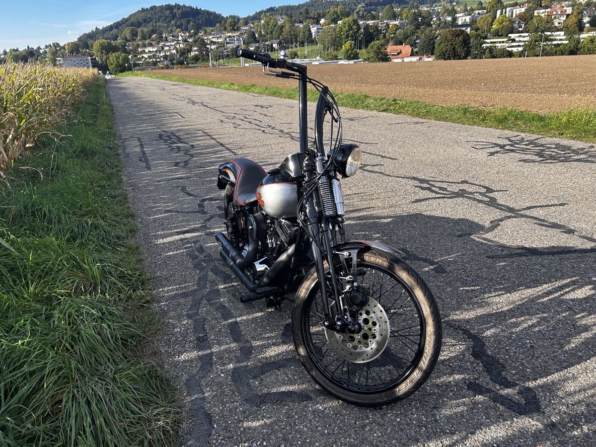 Harley-Davidson Chopper: Harley Davidson Bad Boy Springer – Usato da Ostermundigen venduto da Lexington_100 5
