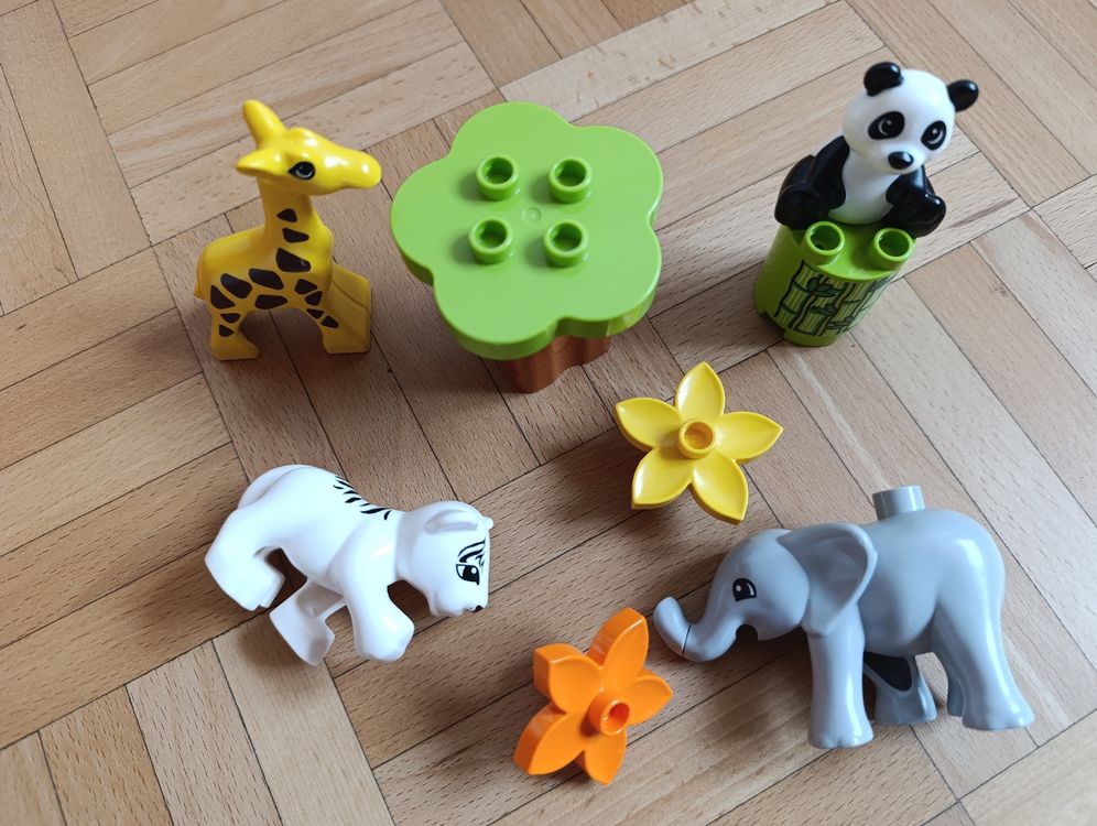 Duplo Jouets: Duplo Lego süße Tierkinder – D'occasion à Oberarth par sil_9dfs 2