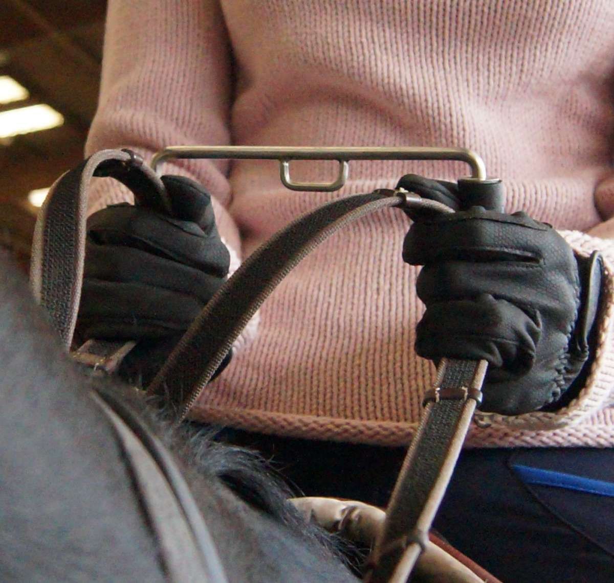 Selle & Accessori: OPTIHAND "Evolution" -Trainingstool für feine Reiterhand – Usato da Oppligen venduto da chicca25