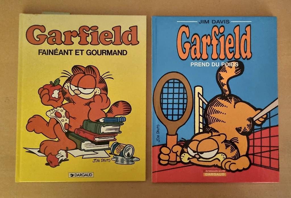 Fumetti: Garfield en français Vintage 1990+2003 – Usato da Wil SG venduto da Hol