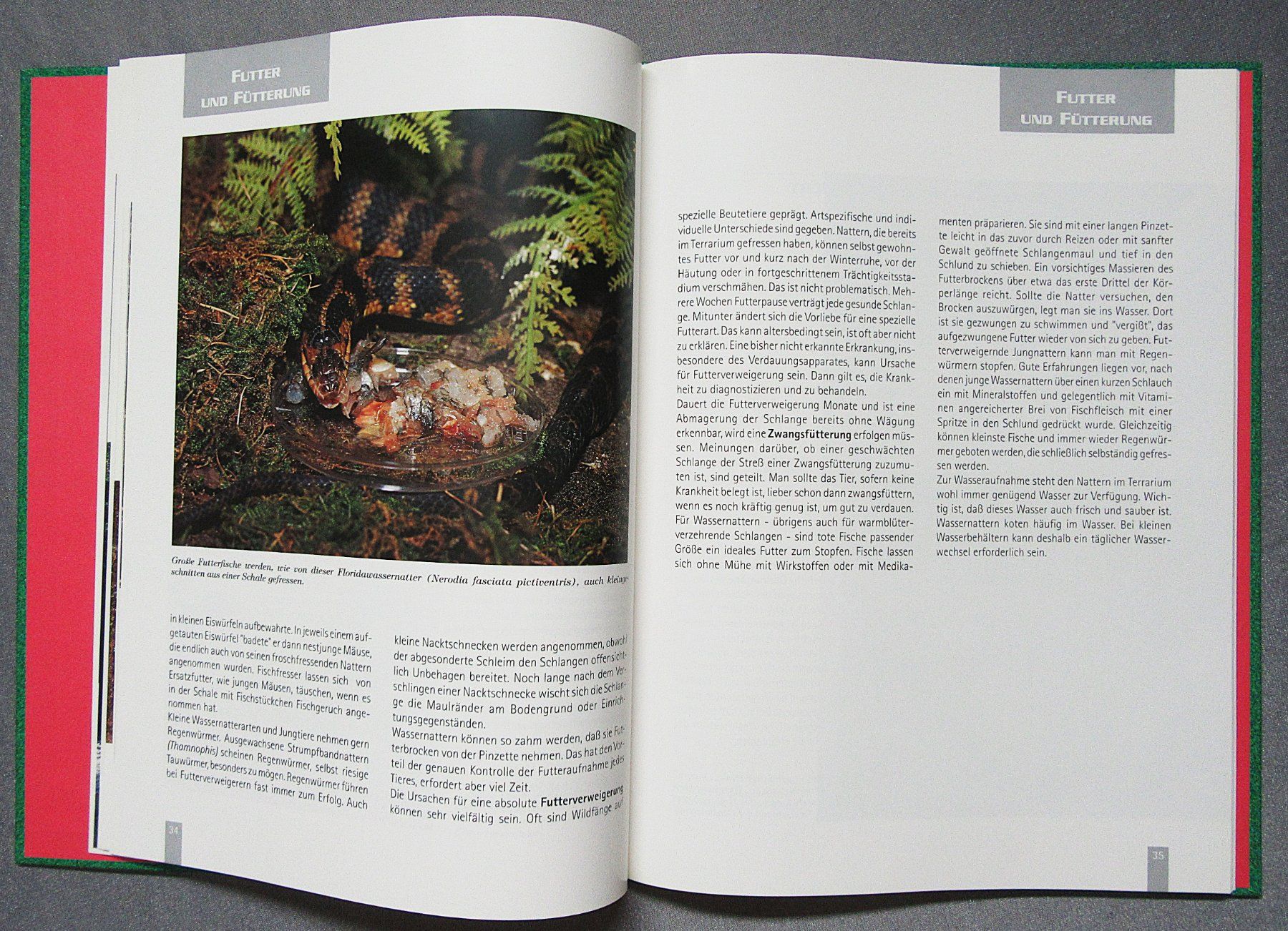 Libri: Wassernattern - Ratgeber von Dr. sc. Dieter Schmidt – Usato da Auenstein venduto da Padabimbim 6
