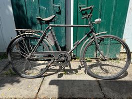 Gallus - Velo